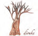 Review of Diouke