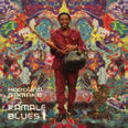 Review of Kamale Blues
