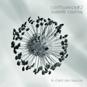 Review of Confluence #2: Le Chant des Sources