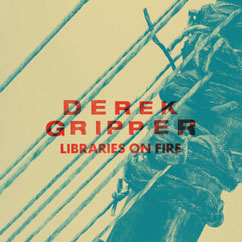 Review of Libraries on Fire