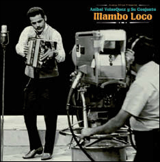Review of Mambo Loco