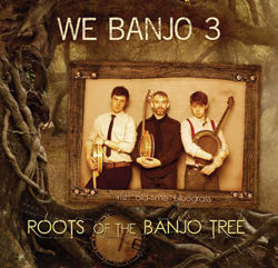 Review of Roots of the Banjo Tree