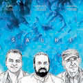 Review of Salhi
