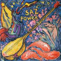 Review of Saz Power
