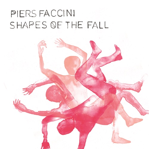 Review of Shapes of the Fall