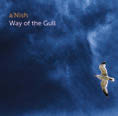 Review of Way of the Gull