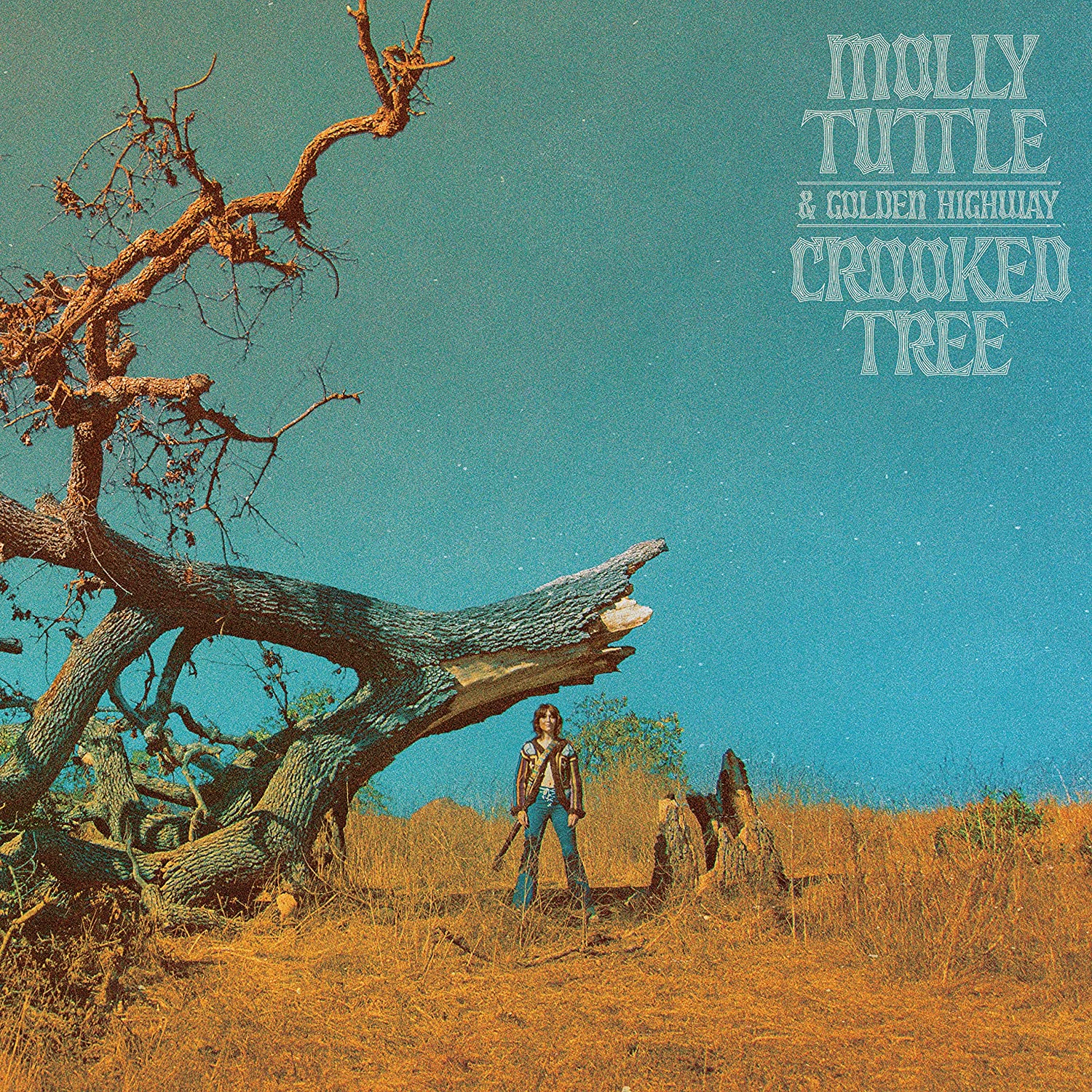 Review of Crooked Tree